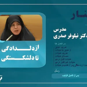 وبینار فرازناشویی (از دلدادگی تا دلشکستگی)